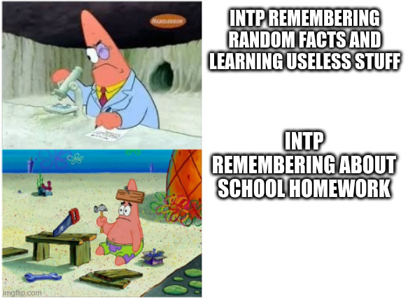 only MBTI community would understand | INTP REMEMBERING
RANDOM FACTS AND
LEARNING USELESS STUFF; INTP REMEMBERING ABOUT SCHOOL HOMEWORK | image tagged in patrick smart dumb | made w/ Imgflip meme maker