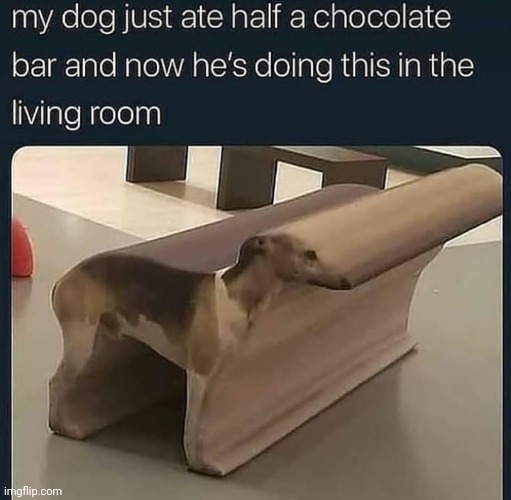 My dog just ate half a chocolate bar | image tagged in my dog just ate half a chocolate bar | made w/ Imgflip meme maker