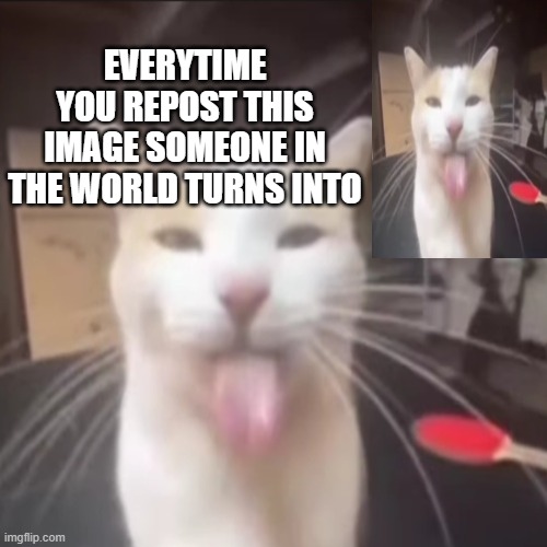 silly kitty | EVERYTIME YOU REPOST THIS IMAGE SOMEONE IN THE WORLD TURNS INTO | image tagged in that's just silly cat | made w/ Imgflip meme maker