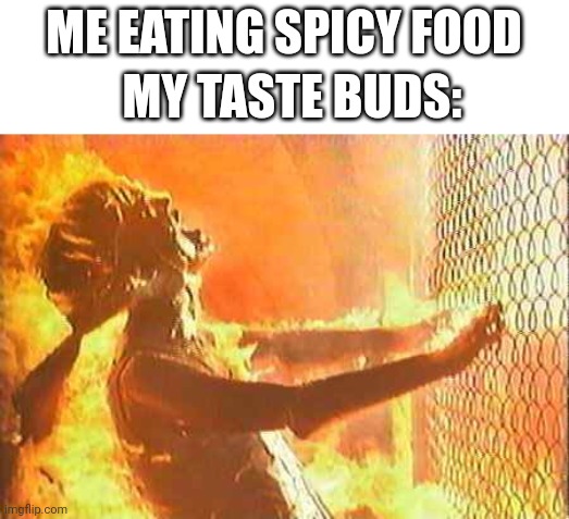 SPICY!!!!!! | ME EATING SPICY FOOD; MY TASTE BUDS: | image tagged in terminator nuke | made w/ Imgflip meme maker