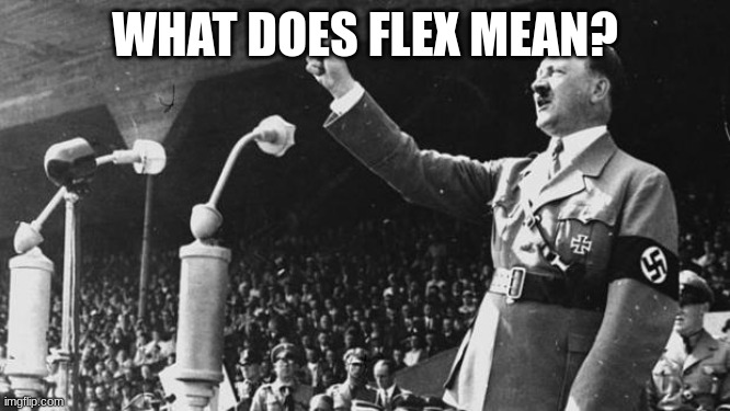 Adolf Hitler | WHAT DOES FLEX MEAN? | image tagged in adolf hitler | made w/ Imgflip meme maker