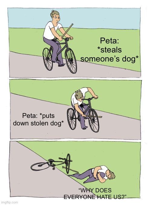 Bike Fall | Peta: *steals someone’s dog*; Peta: *puts down stolen dog*; “WHY DOES EVERYONE HATE US?” | image tagged in memes,bike fall | made w/ Imgflip meme maker