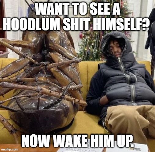 Now Wake Him Up. | WANT TO SEE A HOODLUM SHIT HIMSELF? NOW WAKE HIM UP. | image tagged in now wake him up | made w/ Imgflip meme maker