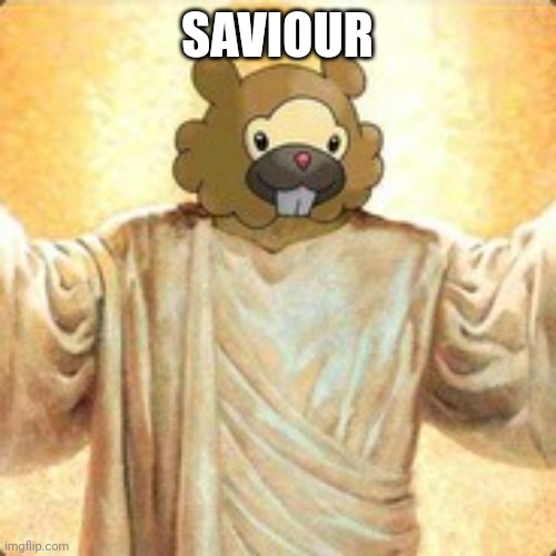 Bidoof the saviour | SAVIOUR | image tagged in bidoof the saviour | made w/ Imgflip meme maker