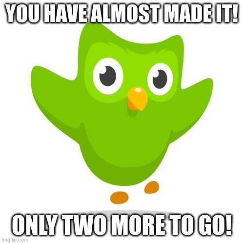 things duolingo teaches you | YOU HAVE ALMOST MADE IT! ONLY TWO MORE TO GO! | image tagged in things duolingo teaches you | made w/ Imgflip meme maker