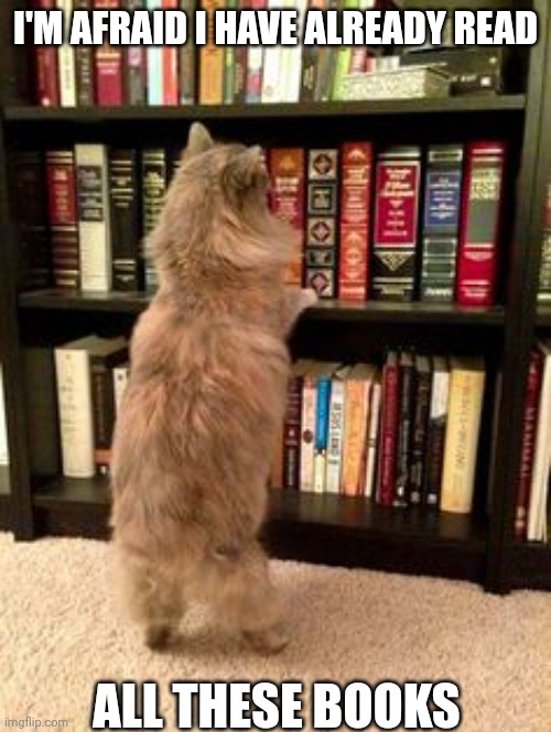 Cat Bookshelf | I'M AFRAID I HAVE ALREADY READ; ALL THESE BOOKS | image tagged in cat bookshelf | made w/ Imgflip meme maker