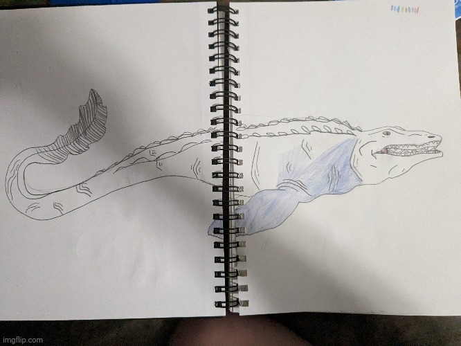 Rate this unfinished Mosasaurus drawing from 1-10! | image tagged in drawing,dinosaur,stay blobby,first post here | made w/ Imgflip meme maker