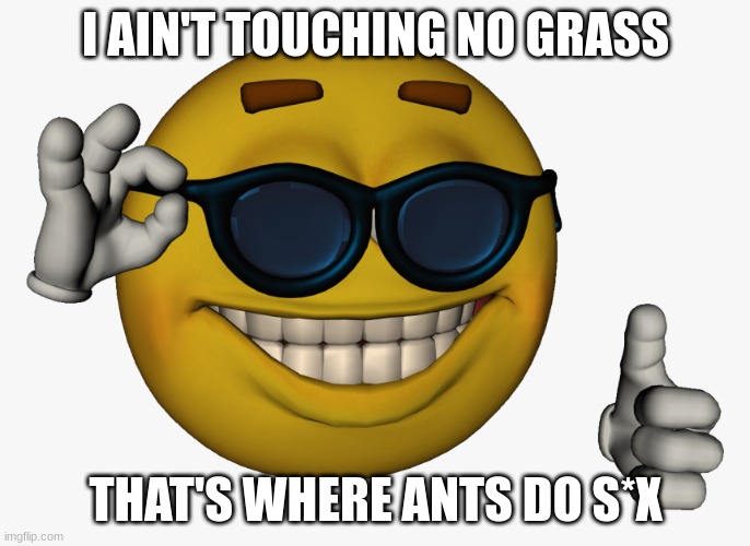 Ants do s*x on grass | I AIN'T TOUCHING NO GRASS; THAT'S WHERE ANTS DO S*X | image tagged in cool guy emoji | made w/ Imgflip meme maker