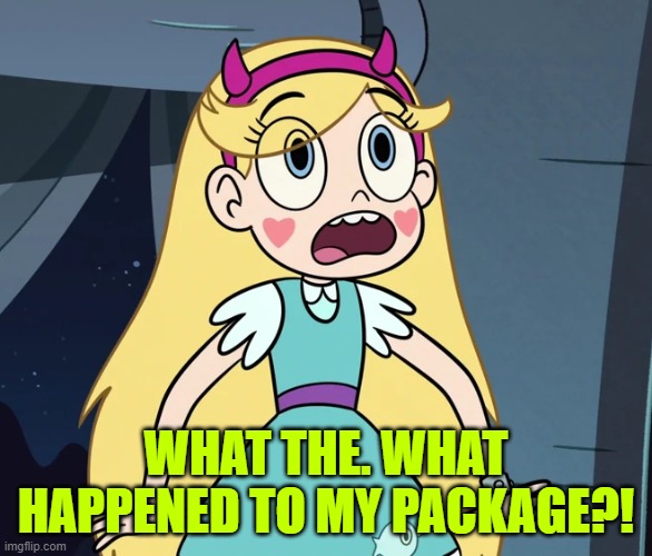 Star Butterfly shocked | WHAT THE. WHAT HAPPENED TO MY PACKAGE?! | image tagged in star butterfly shocked | made w/ Imgflip meme maker