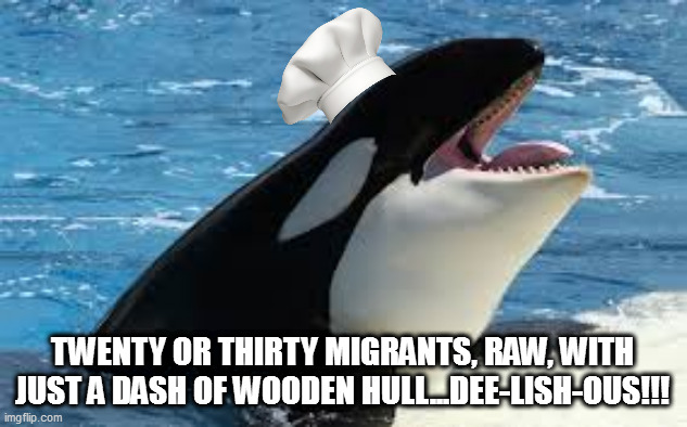 orca | TWENTY OR THIRTY MIGRANTS, RAW, WITH JUST A DASH OF WOODEN HULL...DEE-LISH-OUS!!! | image tagged in orca | made w/ Imgflip meme maker