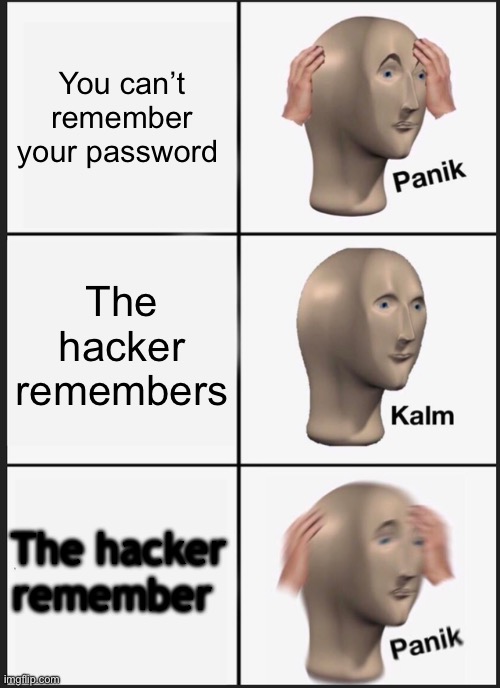 Em | You can’t remember your password; The hacker remembers; The hacker remember | image tagged in memes,panik kalm panik | made w/ Imgflip meme maker