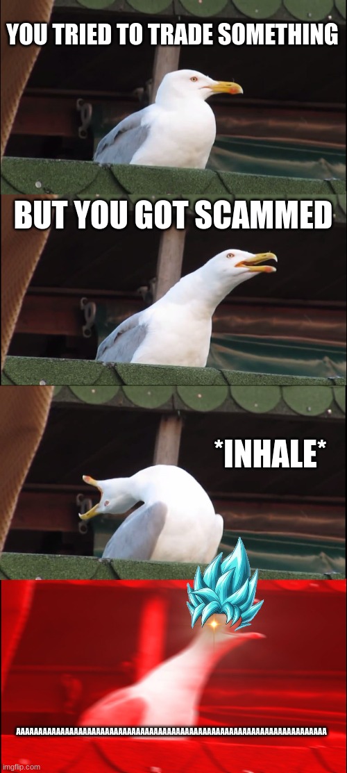 Inhaling Seagull | YOU TRIED TO TRADE SOMETHING; BUT YOU GOT SCAMMED; *INHALE*; AAAAAAAAAAAAAAAAAAAAAAAAAAAAAAAAAAAAAAAAAAAAAAAAAAAAAAAAAAAAAAAAAAAAAA | image tagged in memes,inhaling seagull | made w/ Imgflip meme maker