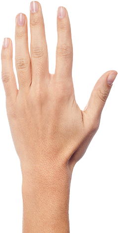 High Quality back of a hand Blank Meme Template