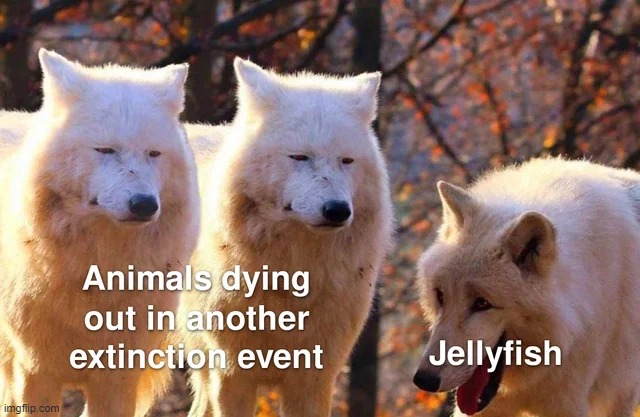 image tagged in memes | made w/ Imgflip meme maker