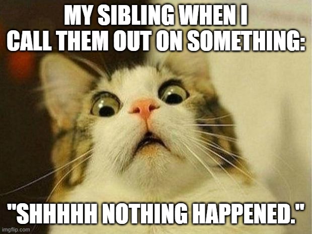 Scared Cat Meme | MY SIBLING WHEN I CALL THEM OUT ON SOMETHING:; "SHHHHH NOTHING HAPPENED." | image tagged in memes,scared cat | made w/ Imgflip meme maker