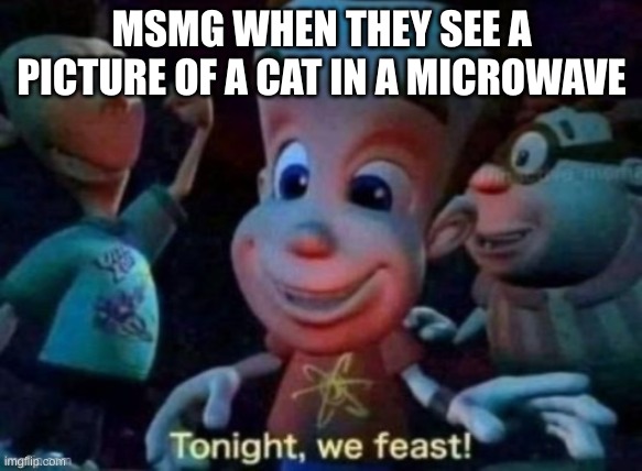 imgflip slander 2 ( i hope i don't offend people) | MSMG WHEN THEY SEE A PICTURE OF A CAT IN A MICROWAVE | image tagged in tonight we feast | made w/ Imgflip meme maker