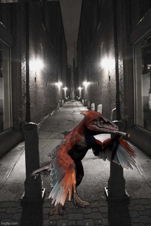 Dark Alley | image tagged in dark alley | made w/ Imgflip meme maker