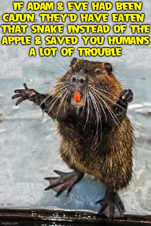 Little Nicky Nutria, Stand-Up Comic | IF ADAM & EVE HAD BEEN
CAJUN. THEY'D HAVE EATEN 
THAT SNAKE INSTEAD OF THE
APPLE & SAVED YOU HUMANS
A LOT OF TROUBLE | image tagged in vince vance,cajuns,adam and eve,garden of eden,snake,memes | made w/ Imgflip meme maker
