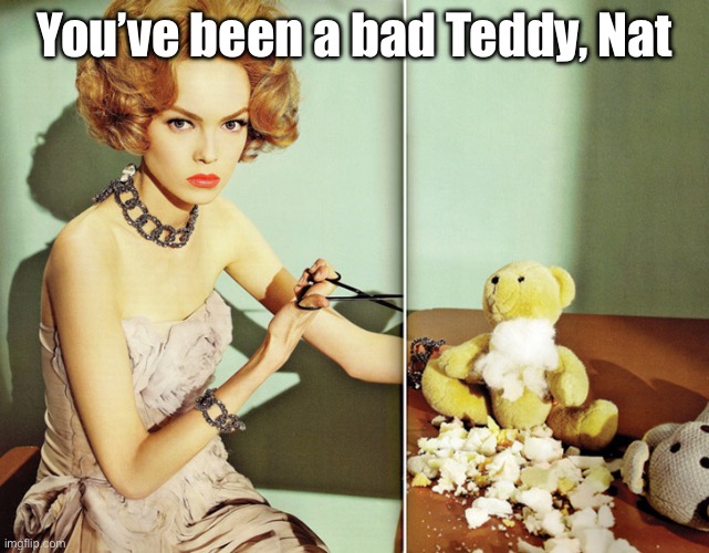 You’ve been a bad teddy! | You’ve been a bad Teddy, Nat | image tagged in you ve been a bad teddy | made w/ Imgflip meme maker