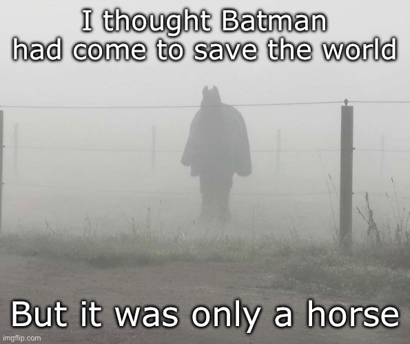 The disappointment… | I thought Batman had come to save the world; But it was only a horse | image tagged in batman,horse | made w/ Imgflip meme maker