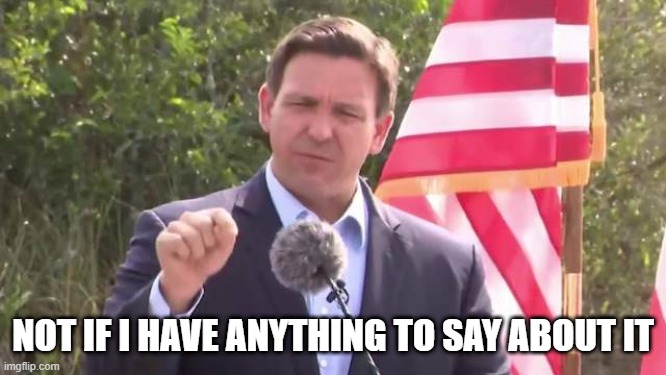 Florida Governor Ron DeSantis | NOT IF I HAVE ANYTHING TO SAY ABOUT IT | image tagged in florida governor ron desantis | made w/ Imgflip meme maker