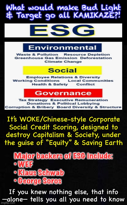 21st Century Sepukku (Hara-Kiri) | What would make Bud Light
& Target go all KAMIKAZE?! It’s WOKE/Chinese-style Corporate
Social Credit Scoring, designed to
destroy Capitalism & Society, under
the guise of “Equity” & Saving Earth; Major backers of ESG include:
• WEF
• Klaus Schwab
• George Soros; If you knew nothing else, that info
—alone— tells you all you need to know | image tagged in memes,ahh the left,virtue signaling is more important than anything,having no redeeming values but must appear to,fjb voters | made w/ Imgflip meme maker