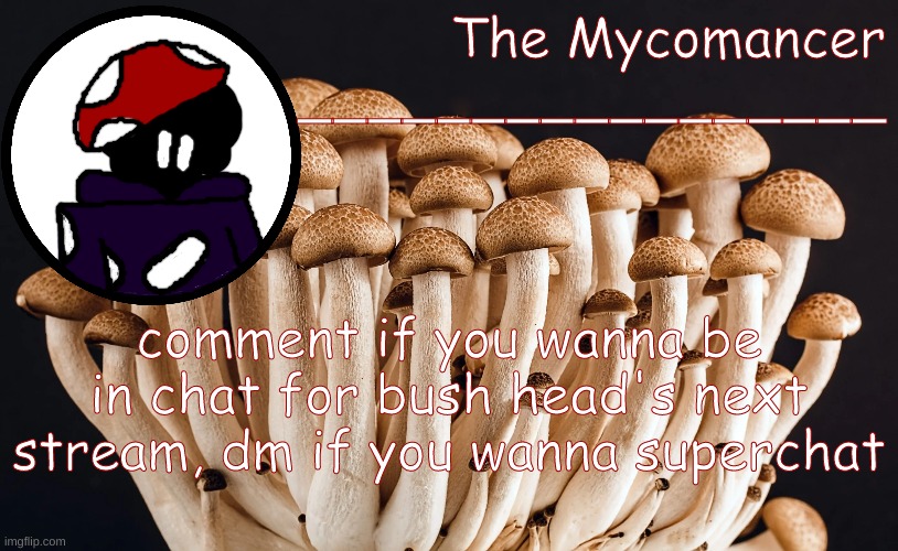 hbj | comment if you wanna be in chat for bush head's next stream, dm if you wanna superchat | made w/ Imgflip meme maker