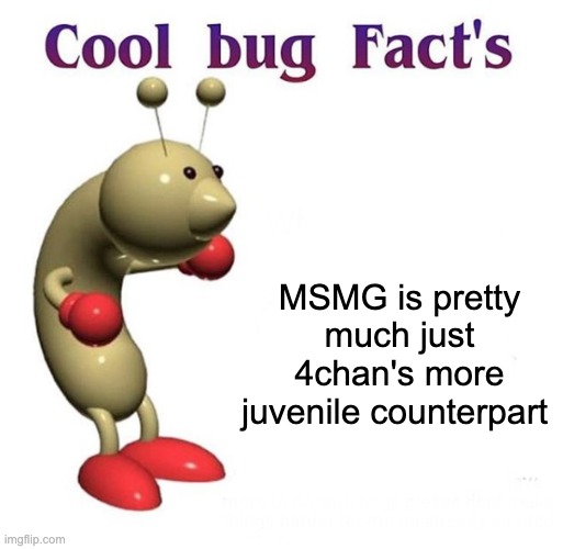 Cool Bug Facts | MSMG is pretty much just 4chan's more juvenile counterpart | image tagged in cool bug facts | made w/ Imgflip meme maker