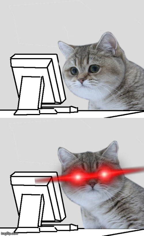Wut?Hai,Nope! | image tagged in wut hai nope | made w/ Imgflip meme maker