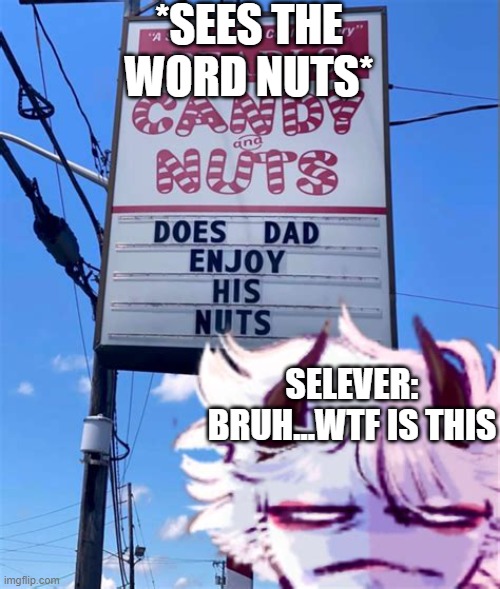 Selever seeing the word nuts | *SEES THE WORD NUTS*; SELEVER: BRUH...WTF IS THIS | image tagged in selever,bs,nuts,wtf | made w/ Imgflip meme maker