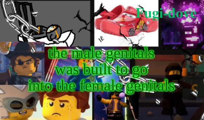 FDAT13 | the male genitals was built to go into the female genitals | image tagged in fdat13 | made w/ Imgflip meme maker