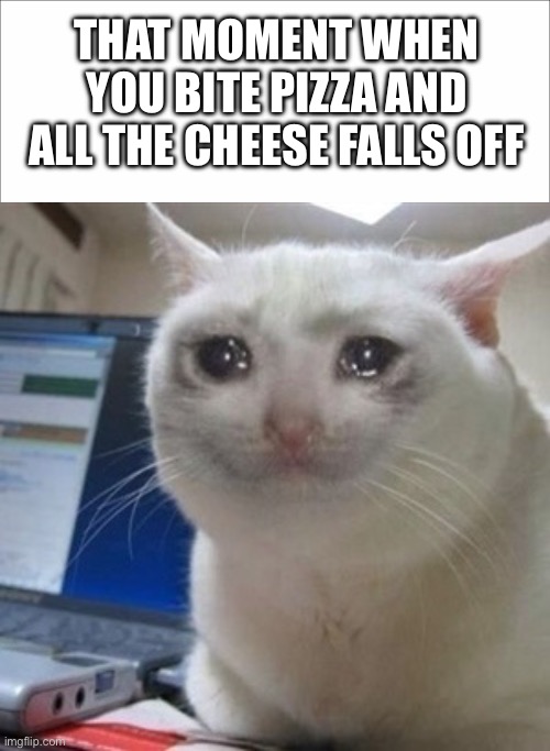 just read the meme I can’t think of a title | THAT MOMENT WHEN YOU BITE PIZZA AND ALL THE CHEESE FALLS OFF | image tagged in crying cat,pizza,pain,sad | made w/ Imgflip meme maker