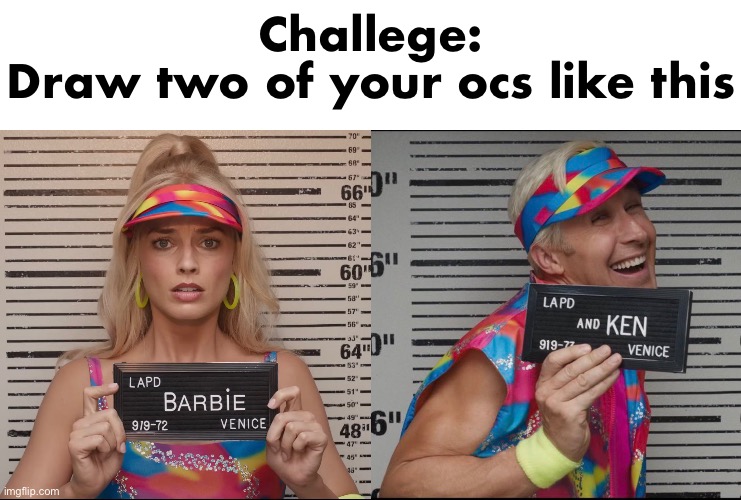 Challege:
Draw two of your ocs like this | made w/ Imgflip meme maker