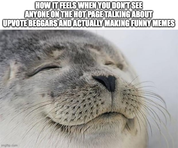 Satisfied Seal Meme | HOW IT FEELS WHEN YOU DON’T SEE ANYONE ON THE HOT PAGE TALKING ABOUT UPVOTE BEGGARS AND ACTUALLY MAKING FUNNY MEMES | image tagged in memes,satisfied seal | made w/ Imgflip meme maker