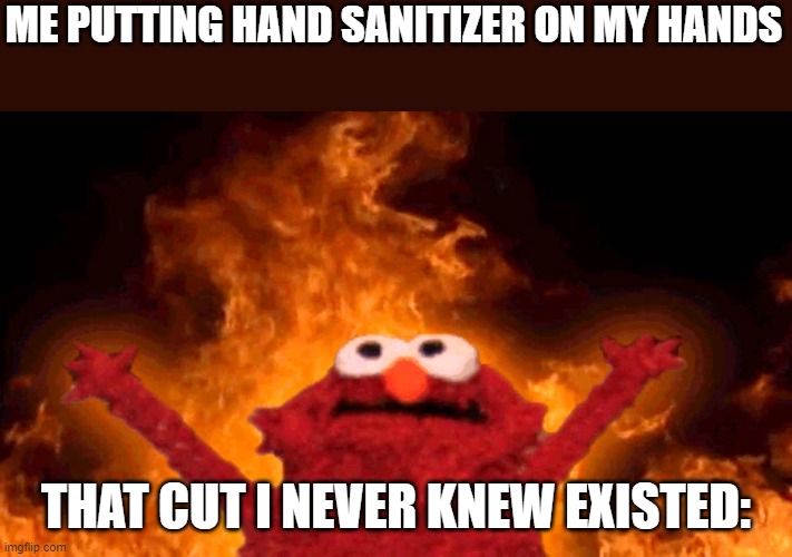 oUcH | ME PUTTING HAND SANITIZER ON MY HANDS; THAT CUT I NEVER KNEW EXISTED: | image tagged in elmo fire | made w/ Imgflip meme maker