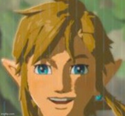 happy link | image tagged in happy link | made w/ Imgflip meme maker