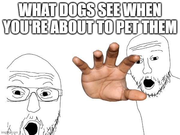:) | WHAT DOGS SEE WHEN YOU'RE ABOUT TO PET THEM | image tagged in dogs | made w/ Imgflip meme maker