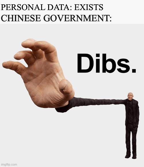 Looking at you TikTok | PERSONAL DATA: EXISTS; CHINESE GOVERNMENT: | image tagged in dibs | made w/ Imgflip meme maker