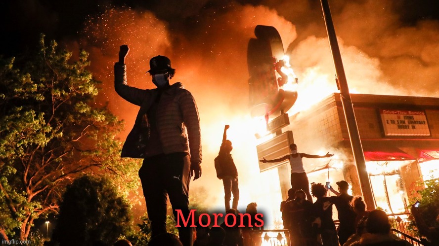 BLM Riots | Morons | image tagged in blm riots | made w/ Imgflip meme maker