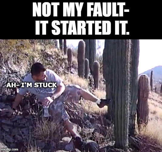 INSTIGATOR | NOT MY FAULT-  IT STARTED IT. AH- I'M STUCK | image tagged in kick,stuck,fight,kicking | made w/ Imgflip meme maker