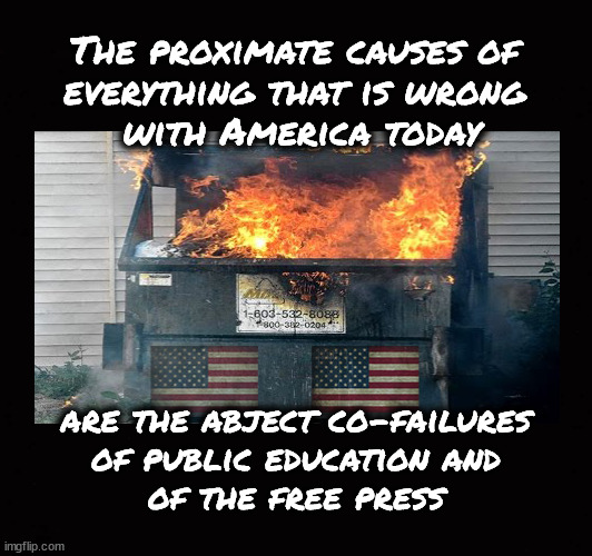 The proximate causes of  everything that is wrong  with America today | The proximate causes of 
everything that is wrong 
with America today; are the abject co-failures
of public education and
of the free press | image tagged in public education,a free press | made w/ Imgflip meme maker