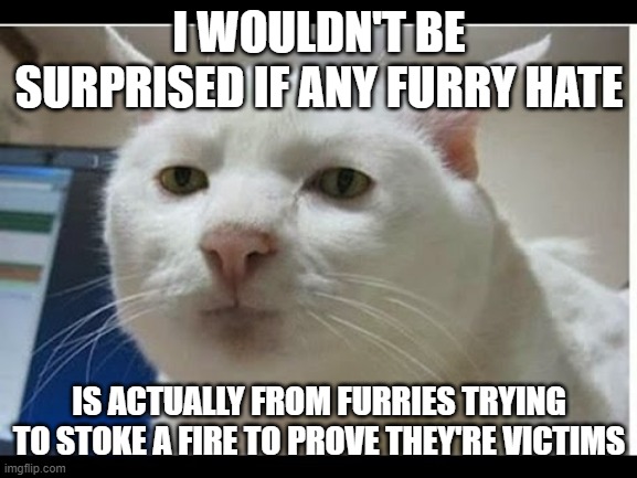 It happens elsewhere, just focus on having fun like we used to | I WOULDN'T BE SURPRISED IF ANY FURRY HATE; IS ACTUALLY FROM FURRIES TRYING TO STOKE A FIRE TO PROVE THEY'RE VICTIMS | image tagged in surprised face | made w/ Imgflip meme maker