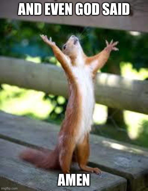 AND EVEN GOD SAID AMEN | image tagged in praise squirrel | made w/ Imgflip meme maker