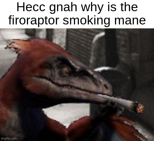 Hecc gnah why is the firoraptor smoking mane | made w/ Imgflip meme maker