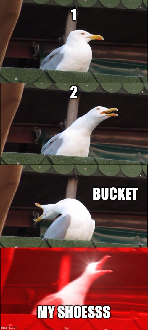 My every time of my life | 1; 2; BUCKET; MY SHOESSS | image tagged in memes,inhaling seagull | made w/ Imgflip meme maker