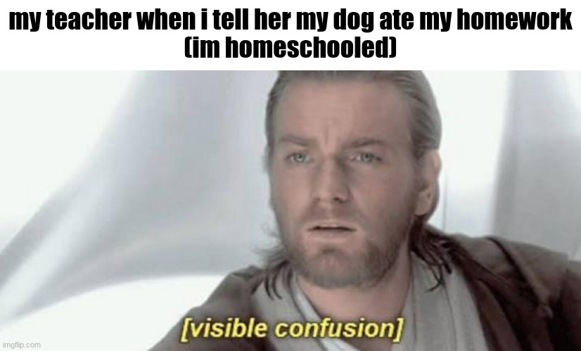 online school funni | my teacher when i tell her my dog ate my homework
(im homeschooled) | image tagged in visible confusion,funni,meme | made w/ Imgflip meme maker