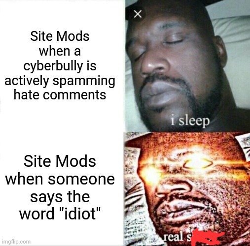 FR | Site Mods when a cyberbully is actively spamming hate comments; Site Mods when someone says the word "idiot" | image tagged in memes,sleeping shaq,imgflip mods | made w/ Imgflip meme maker