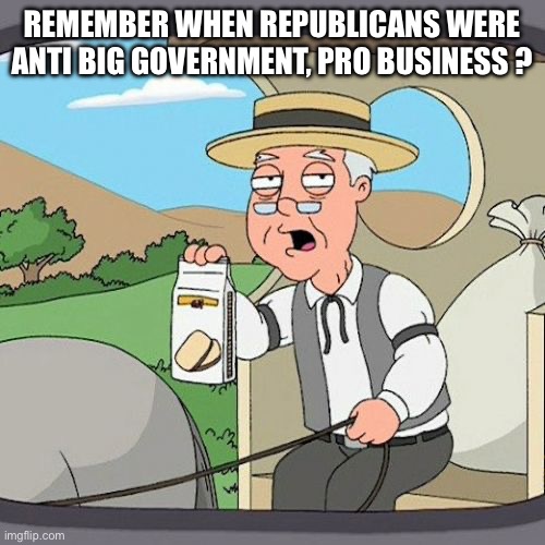 Pepperidge Farm Remembers Meme | REMEMBER WHEN REPUBLICANS WERE ANTI BIG GOVERNMENT, PRO BUSINESS ? | image tagged in memes,pepperidge farm remembers | made w/ Imgflip meme maker