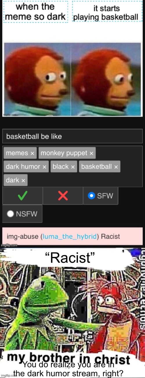 This was in the approval queue for dark humor lmao | “Racist”; You do realize you are in the dark humor stream, right? | image tagged in my brother in christ | made w/ Imgflip meme maker