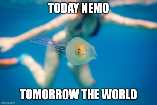 Jellyfish was hungry | TODAY NEMO TOMORROW THE WORLD | image tagged in fish in jellyfish,nemo,finding nemo,eating,fish | made w/ Imgflip meme maker